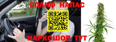 спиды Ярославль