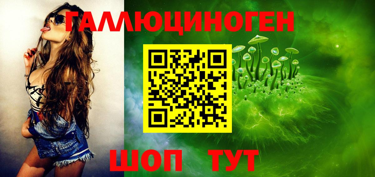 Ирбит  Галлюциногенные грибы Psilocybe  Галлюциногенные грибы прущие грибы  Вход с VPN 